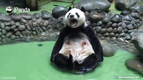 �ѥ�����������ʤ������˿ʹ�04