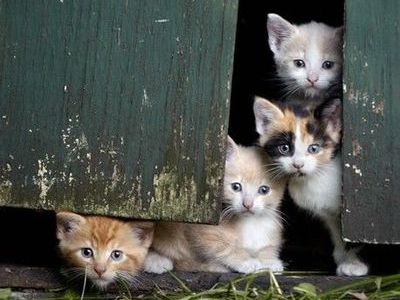 �إåɥ饤��1-17