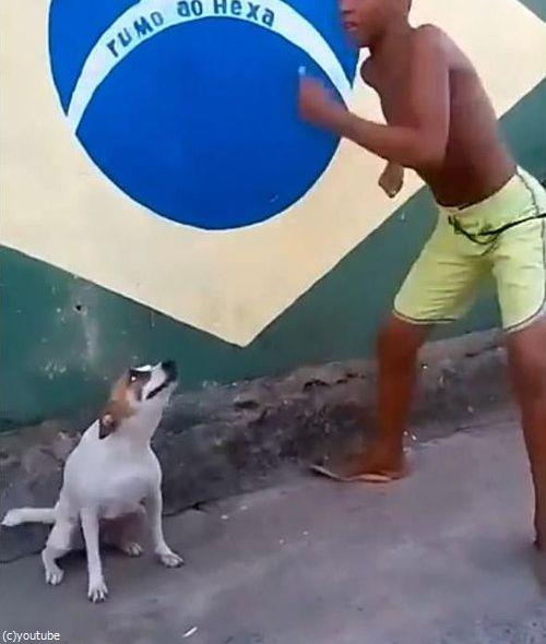 �֥饸��ϸ����äƥ����˥Х�03