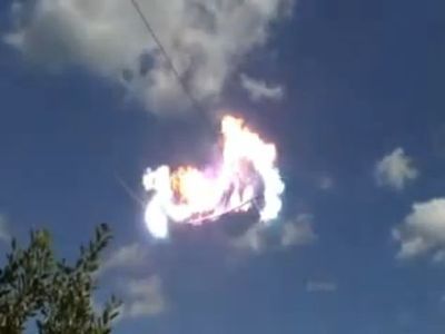 木の枝が電車の送電線に乗っかる