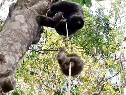 ʥޥΤⰦҤ夲Ȥϡİճư®