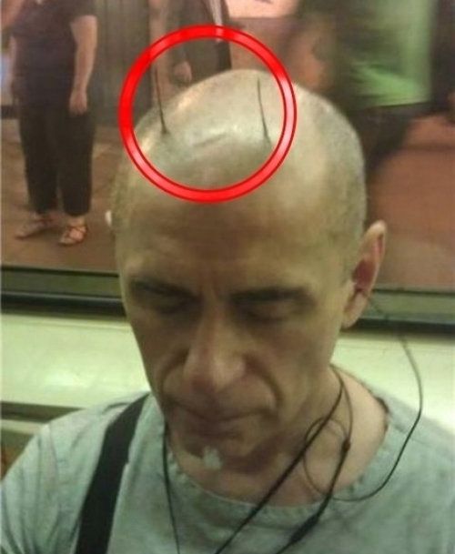 風変わりなヘアスタイル11