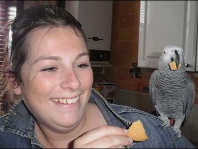 浮気をばらしたインコ00