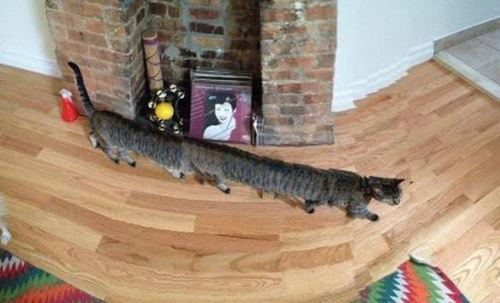 パノラマモードの失敗19