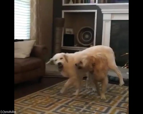 ������ǥ�2ɤ��ͷ��Ǥ����Ѥ�������01