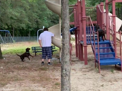 ���٤���˥ϥޤ븤01