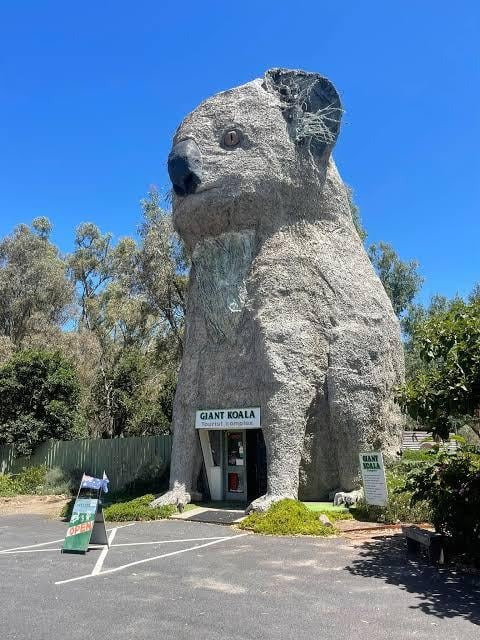 ���ʤ��ι���Ѥʡ����뤤�Ϥ��⤷������ʪ15