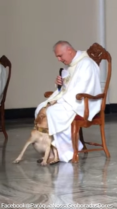 礼拝中に犬が乱入!神父の対応が話題に01
