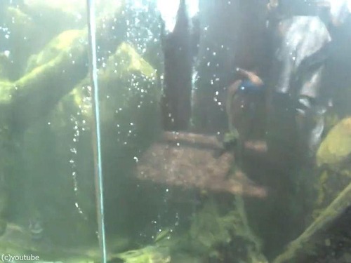 ���復�������ž03