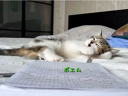 ǭ����ؤ֡����Ȥ��ƤΤդ�ޤ�03