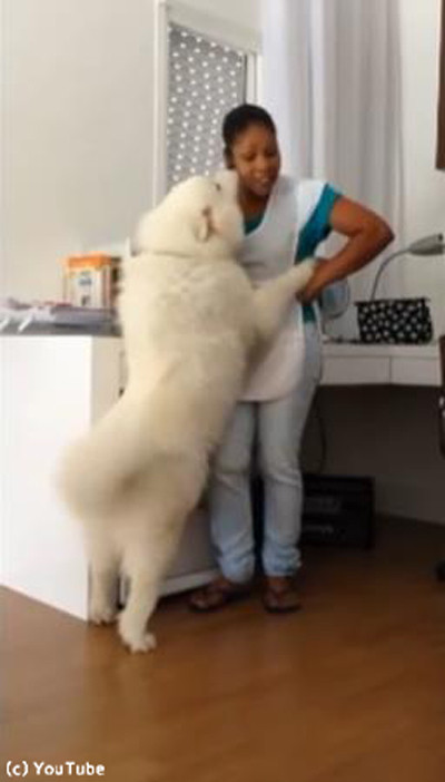 �դ��ꤹ���븤03