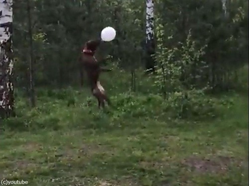 �����ȥ������ʸ�04