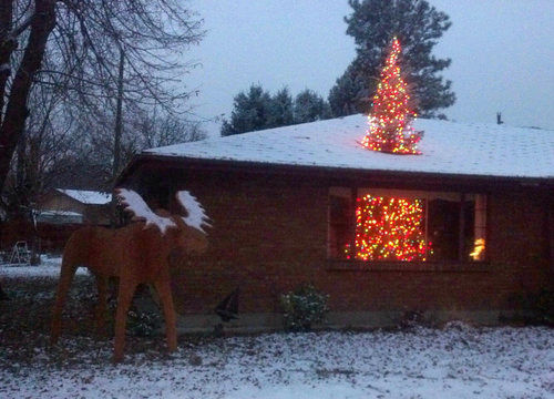 大きなクリスマスツリー01