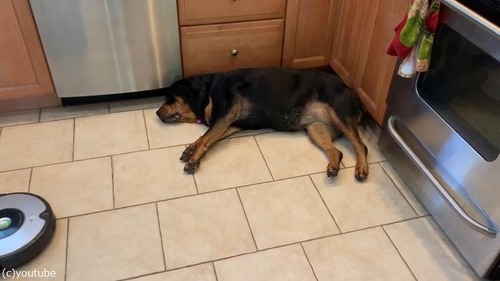 �����ζ��ǿ�����vs���ܥå��ݽ���04