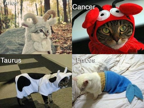 ǭ��12�����ꤤ00