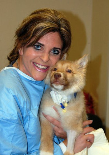 子犬を拾った09