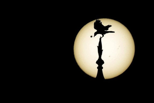 金星の太陽通過観測のお知らせ08