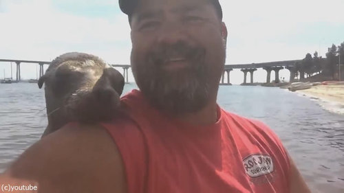 �����饷�����ˡ�02