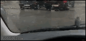 駐車してる間に04