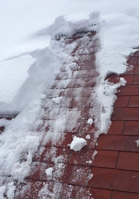 男の寿命が短い理由17