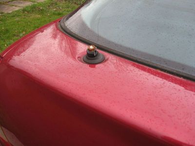 �磻�ѡ�������Ƥ�