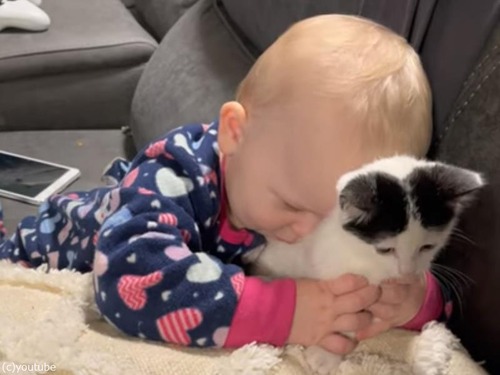 子猫を愛する赤ちゃん