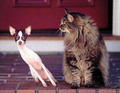 ���μ���01