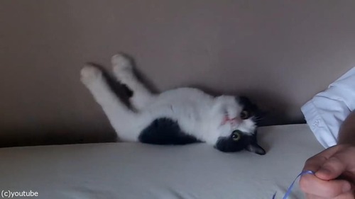 ǭ���٥åɤη�֤˵ۤ����ޤ��03