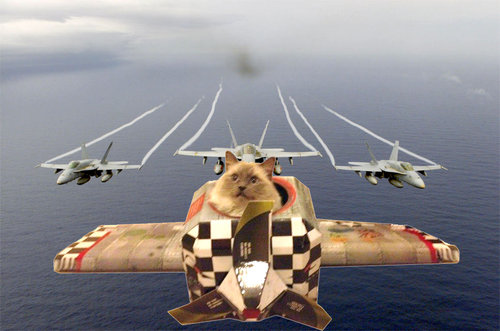 猫のために作ったもの04