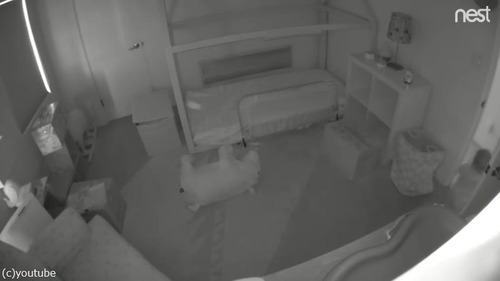 �ɥ����Ϥǳ������ʤ��Ҥɤ⤬������æ�Ф�����ͳ04