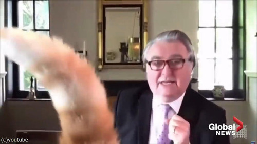 �����ꥹ�εİ����ӥǥ�������ǭ����01