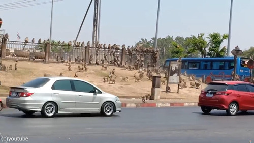 �����˽��04