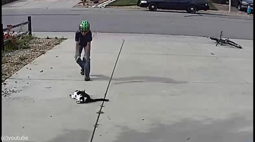 ���ξ�ǯ���������������ܤ�ǭ����Ǥˤ�äƤ���02