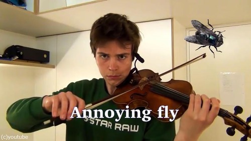 ヴァイオリニストが動物の鳴き声を演奏する06