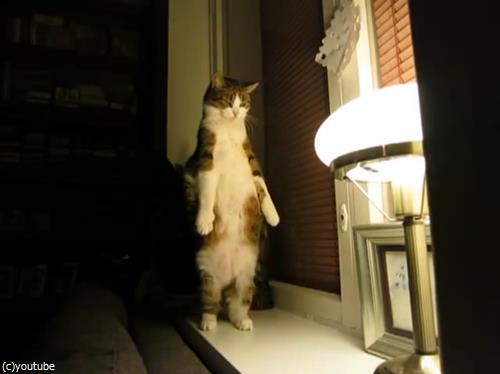 ǤΥ¹¥È¥ì¥Ã¥Á¤ò¤¤¤í¤ó¤Ê³ÑÅÙ¤«¤éį¤á¤Æ¤ß¤¿03