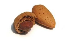 生産性をあげる20の食べ物02