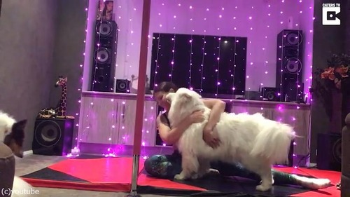 もうヨガどころじゃない04