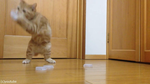 ǭ�����륭���ѡ�05