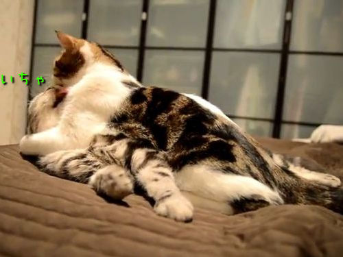 ǭ����ؤ֡����Ȥ��ƤΤդ�ޤ�10