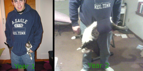 ペットの成長速度01