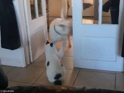 ǭ���ݤ����̤�ʤ���02