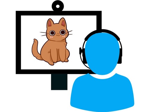 猫とビデオチャットしたら自分に気づいてくれるのか