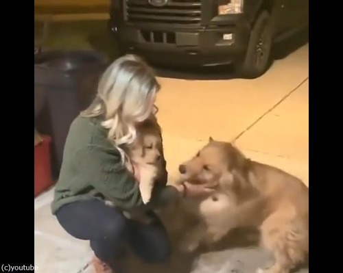 �������󥳤��紿�ޤ��르����ǥ��ȥ�С�04