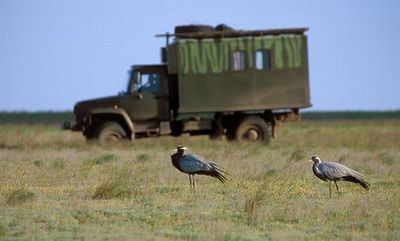 ����ưʪ�����ޥ�06