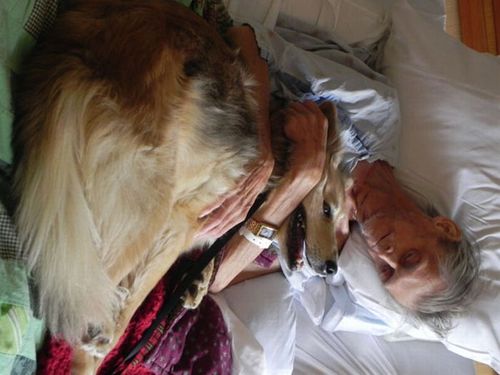 最後は愛犬と00