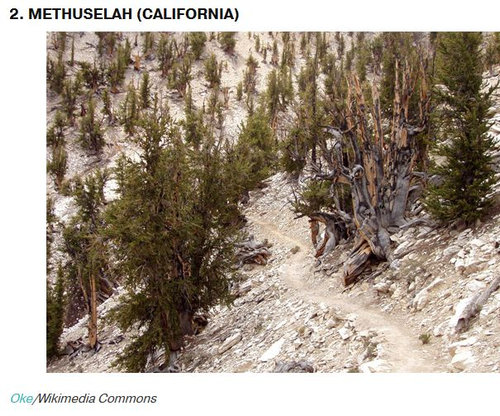 ����2000ǯ�Υ��꡼�֤���04