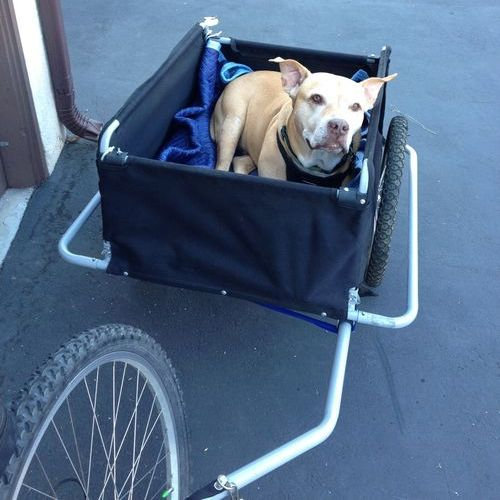 ǯϷ��������겡���֤˾褻��08