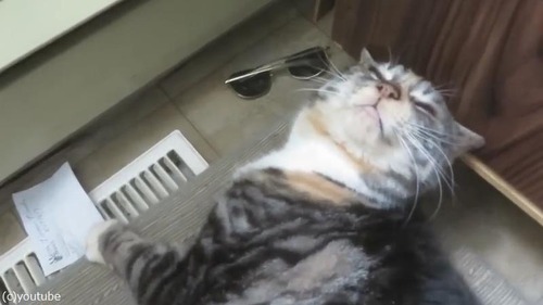 ǭ��¹�μ�ǥ�����������Ƥ�����03