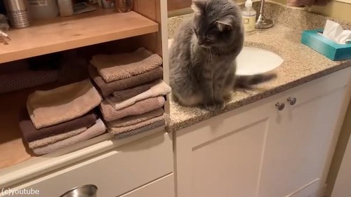 ޤäǭäƤĤϡĥ٥ɤ襤01