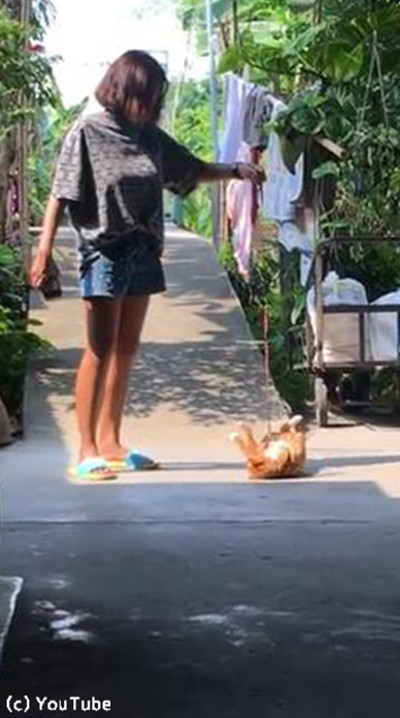 ǭ�ֵ��ꤿ���ʤ��˥��02